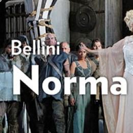 biglietti Norma - Bellini