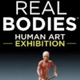biglietti Real Bodies - Human Art Exhibition