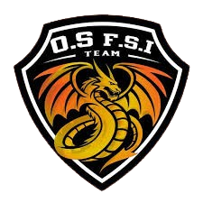 Logo Orange Sport FSI