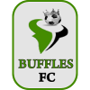 Logo Buffles du Borgou