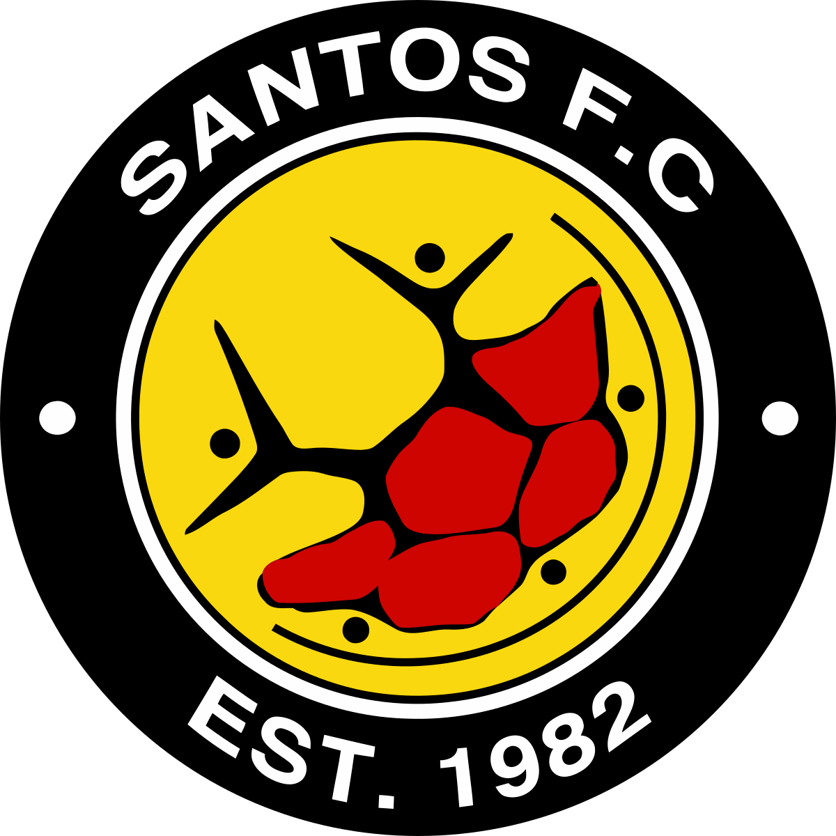 Logo Santos Cape Town