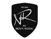 Logo Novyi Rozdil